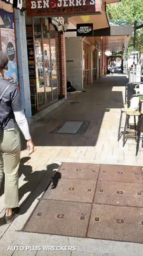 2017 Ford Mondeo Ecu