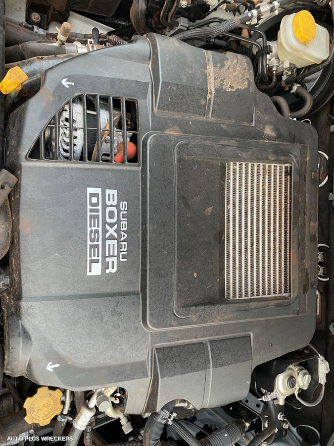 2019 Subaru Outback Right Taillight