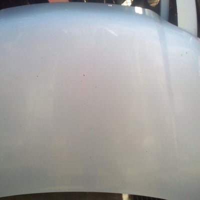 2008 Ford Territory Bonnet