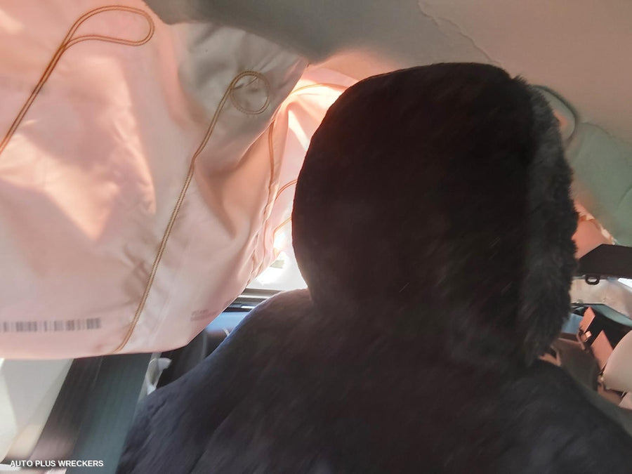 2017 Suzuki S-cross Left Taillight