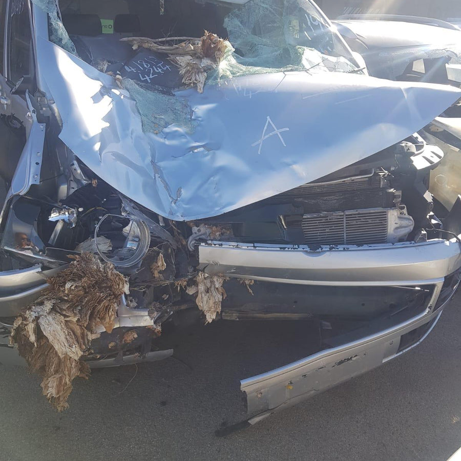 2010 Volkswagen Transporter Washer Bottle