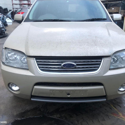 2006 Ford Territory Grille
