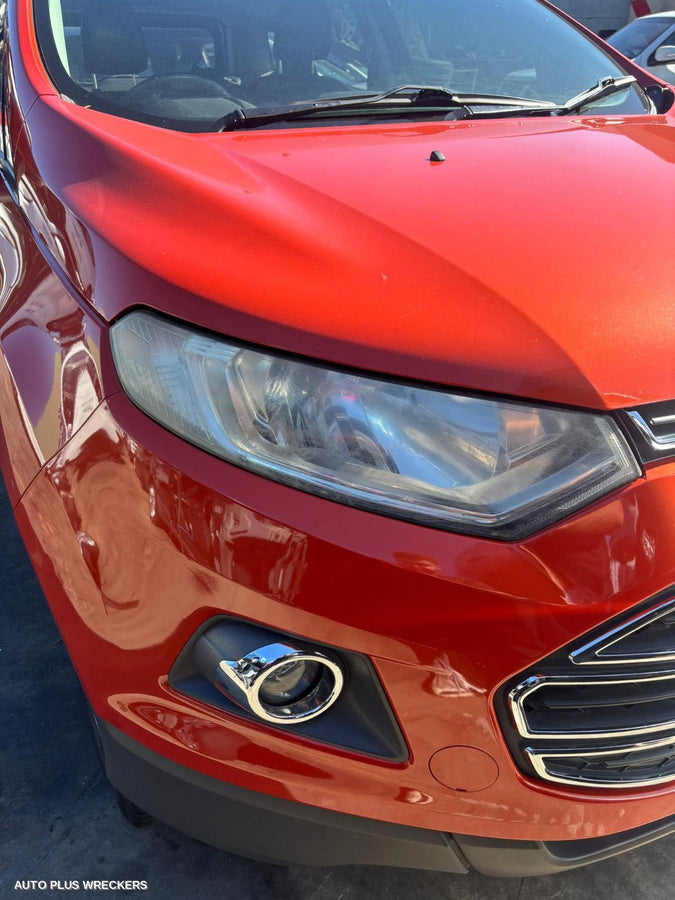 2013 Ford Ecosport Courtesy Light