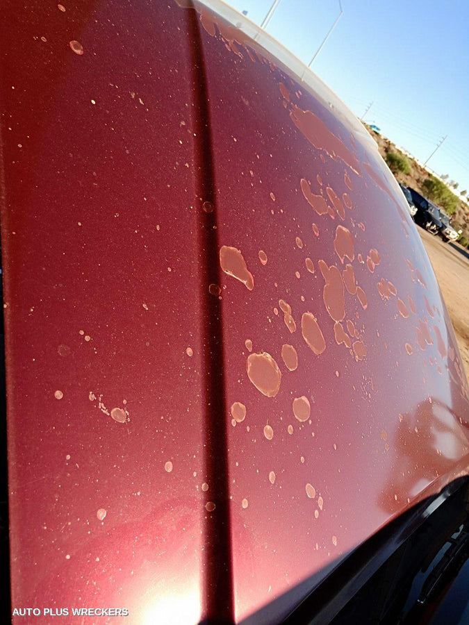 2006 Nissan Pathfinder Right Guard