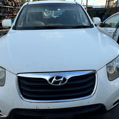 2009-2012 Hyundai Santa Fe Pedal Assembly