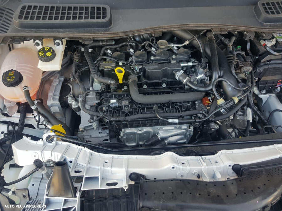 2019 Ford Escape Right Front Window Reg Motor