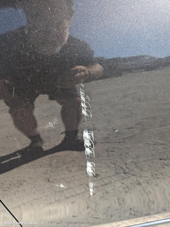 2014 Nissan Pulsar Grille