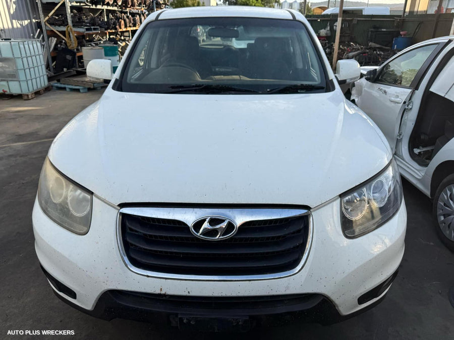 2010 Hyundai Santa Fe Bootlid Tailgate