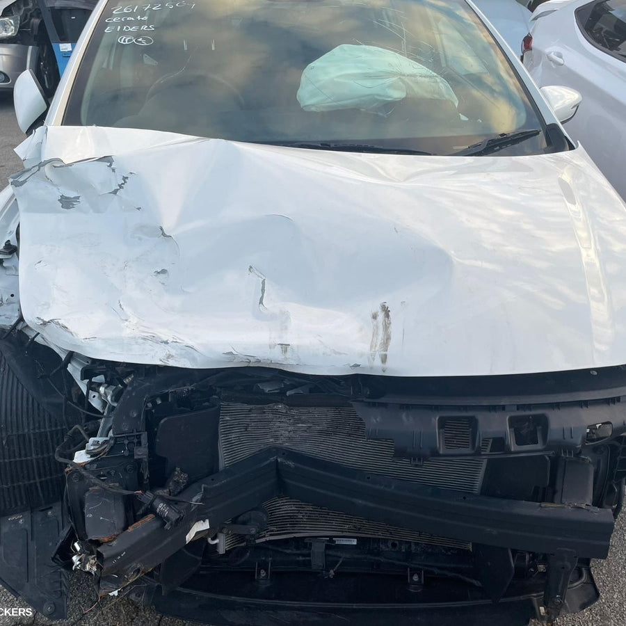 2016-2018 Kia Cerato Fuel Pump