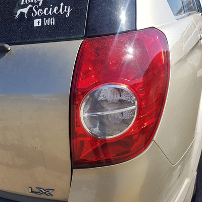 2007 Holden Captiva Pwr Dr Wind Switch