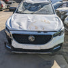2022 Mg Zs Rear Garnish
