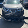 2010 Nissan Murano Left Front Door Window