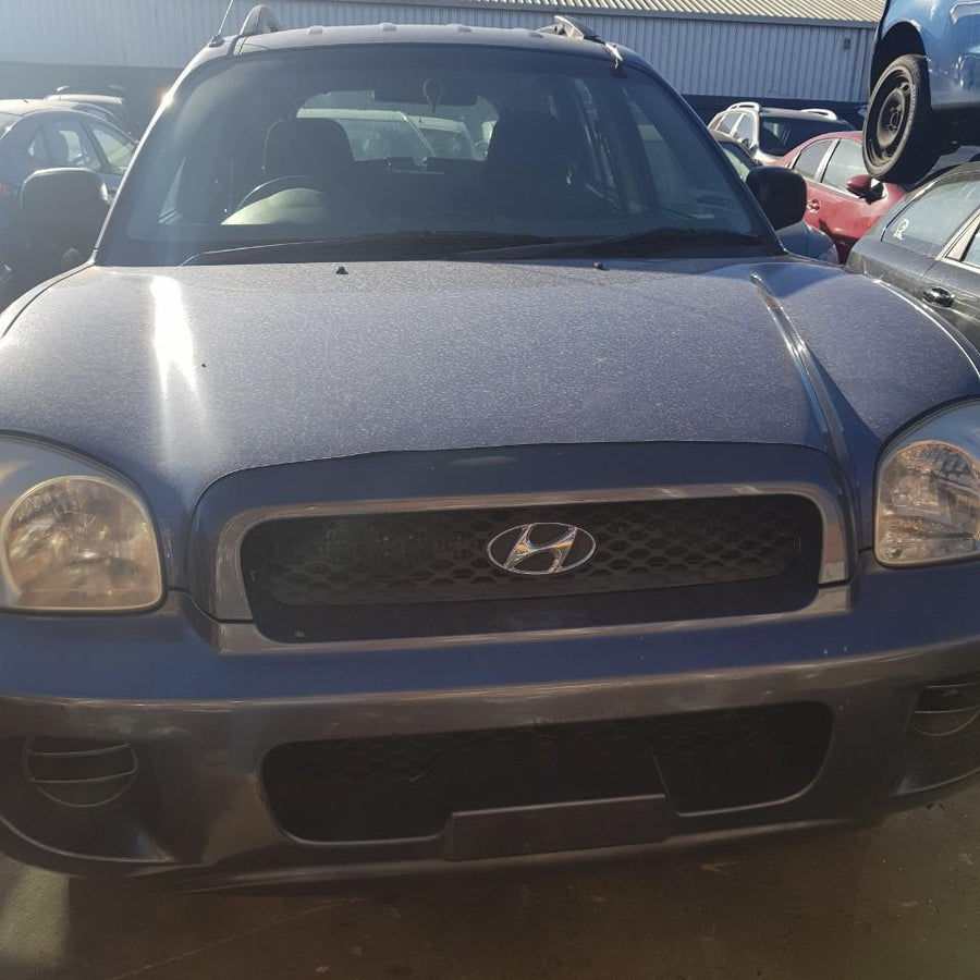 2004 Hyundai Santa Fe Right Front Door Window