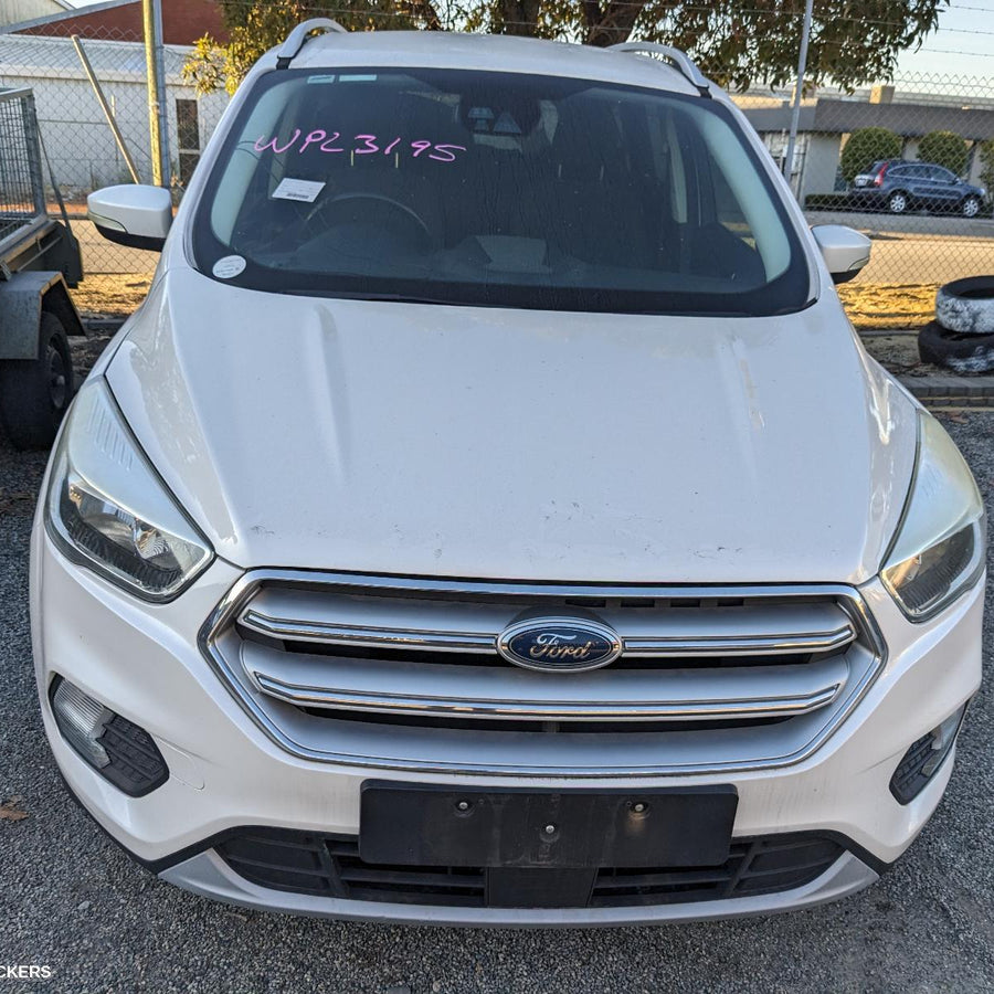 2017 Ford Escape Hatch Strut