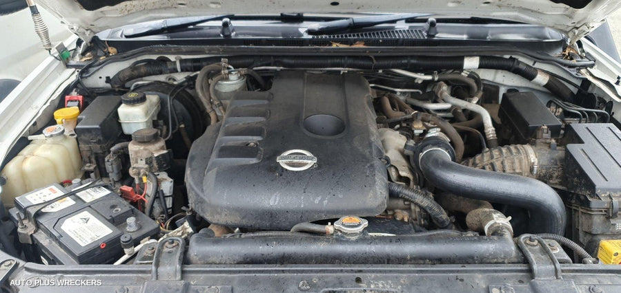 2013 Nissan Navara Right Front Door Window