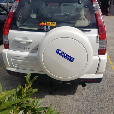 2001-2007 Honda Crv Right Rear Door Window