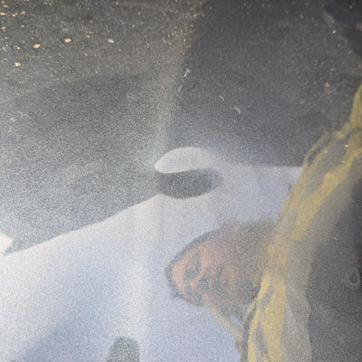 2012 Ford Fiesta Right Guard