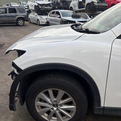 2012-2016 Mazda Cx5 Courtesy Light