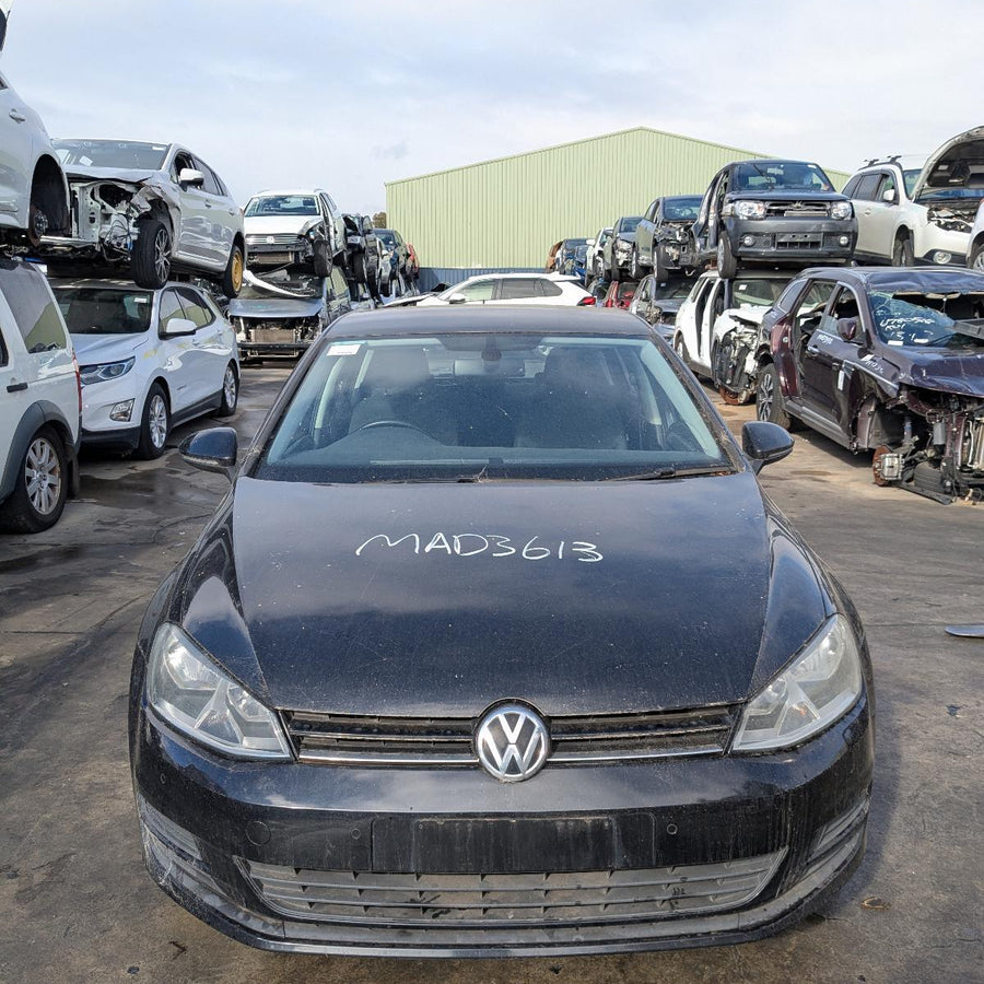2012-2020 Volkswagen Golf Right Front Door