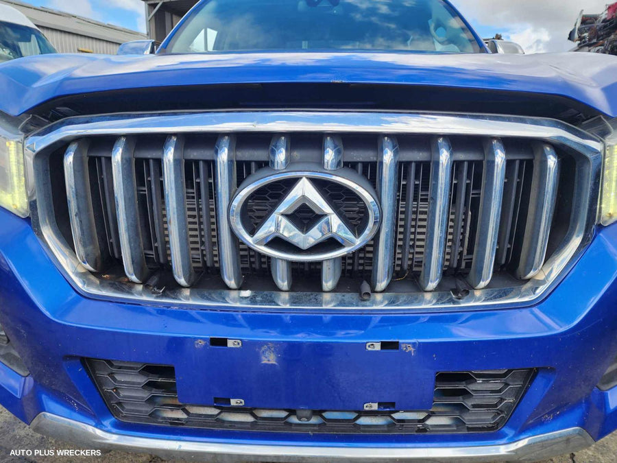 2017-2021 Ldv T60 Grille