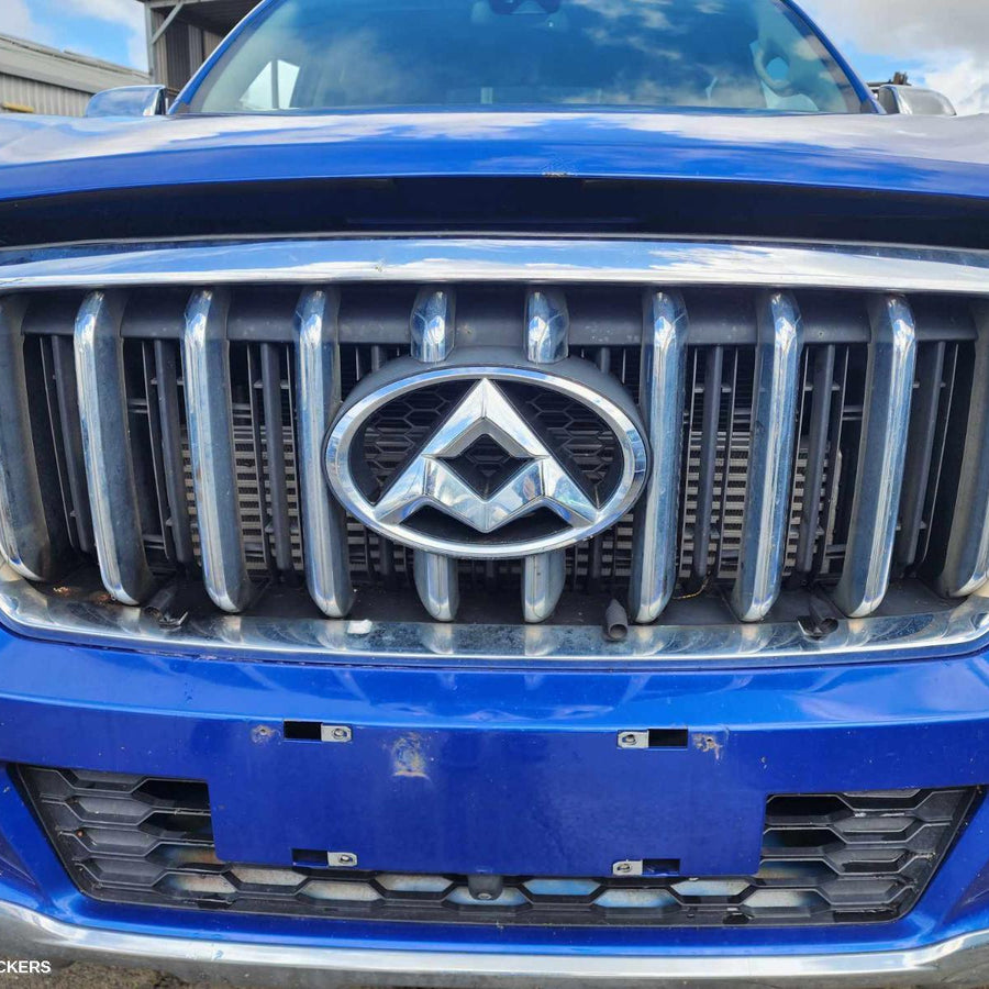 2017-2021 Ldv T60 Grille