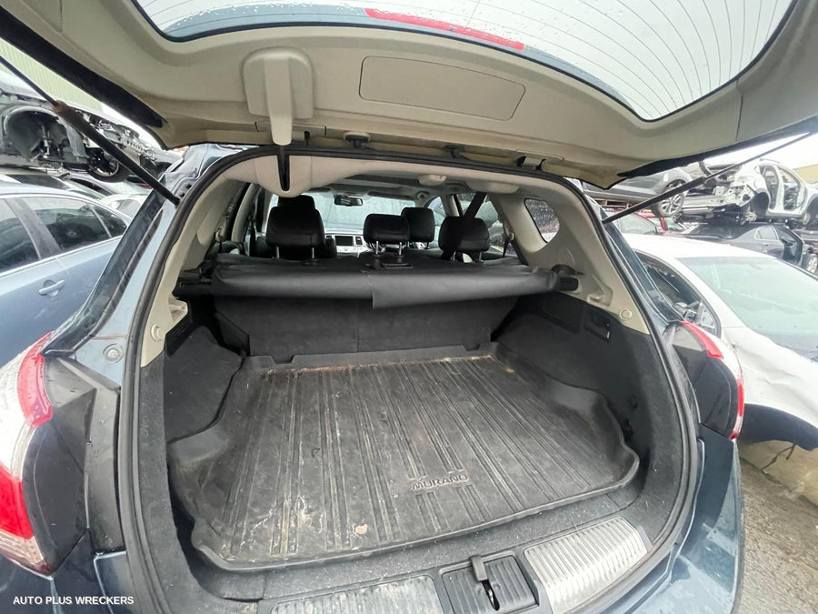 2012 Nissan Murano Left Rear Door Window