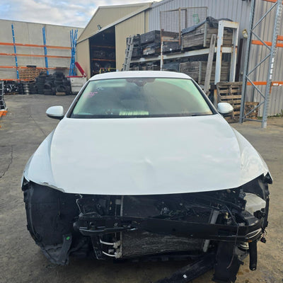 2015-2019 Volkswagen Passat Door Trim