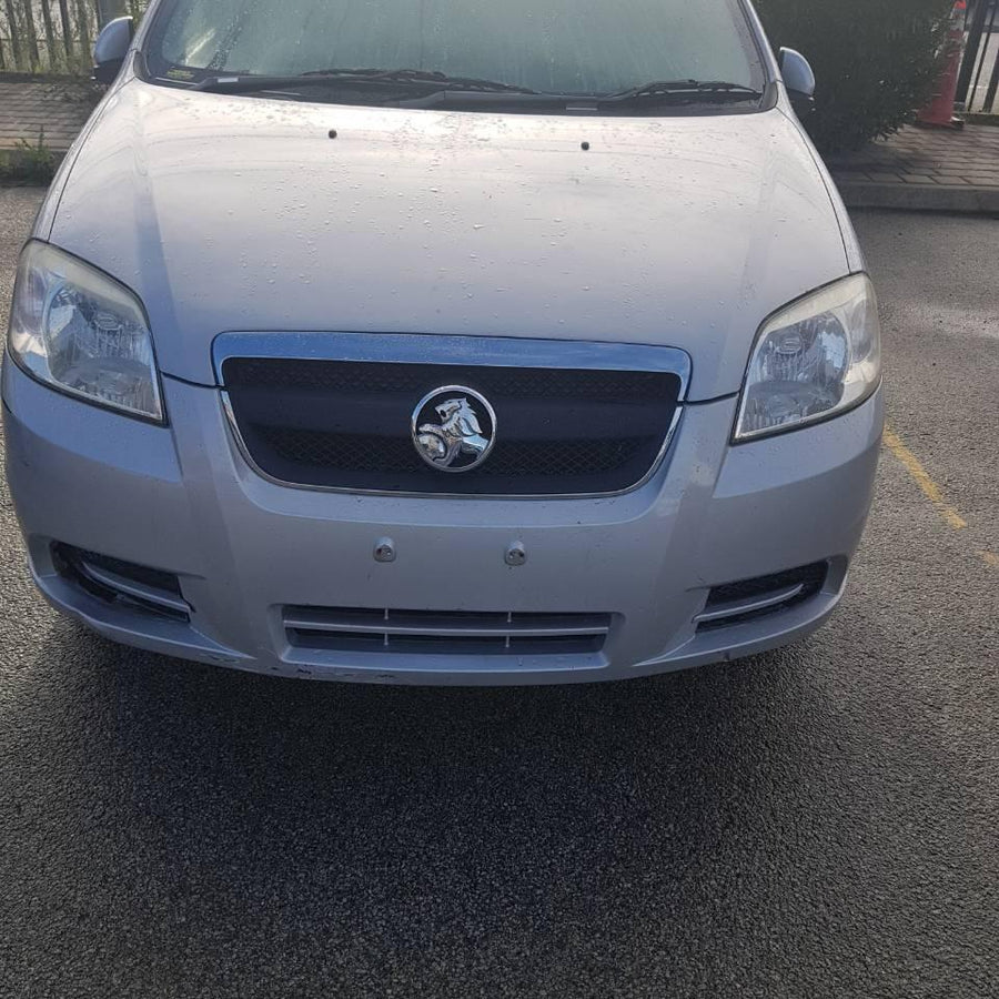 2005-2012 Holden Barina Sunvisor