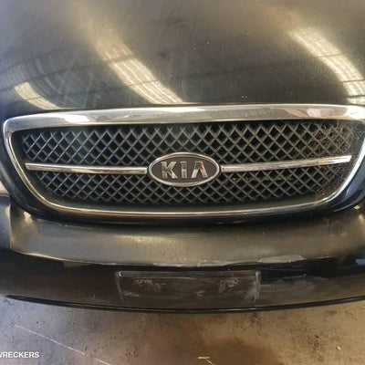 2001-2006 Kia Carnival/grand Carnival Left Door Mirror