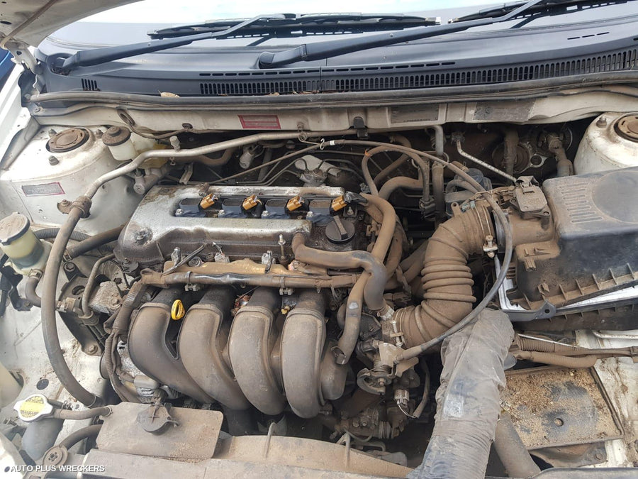 2002 Toyota Corolla Right Taillight